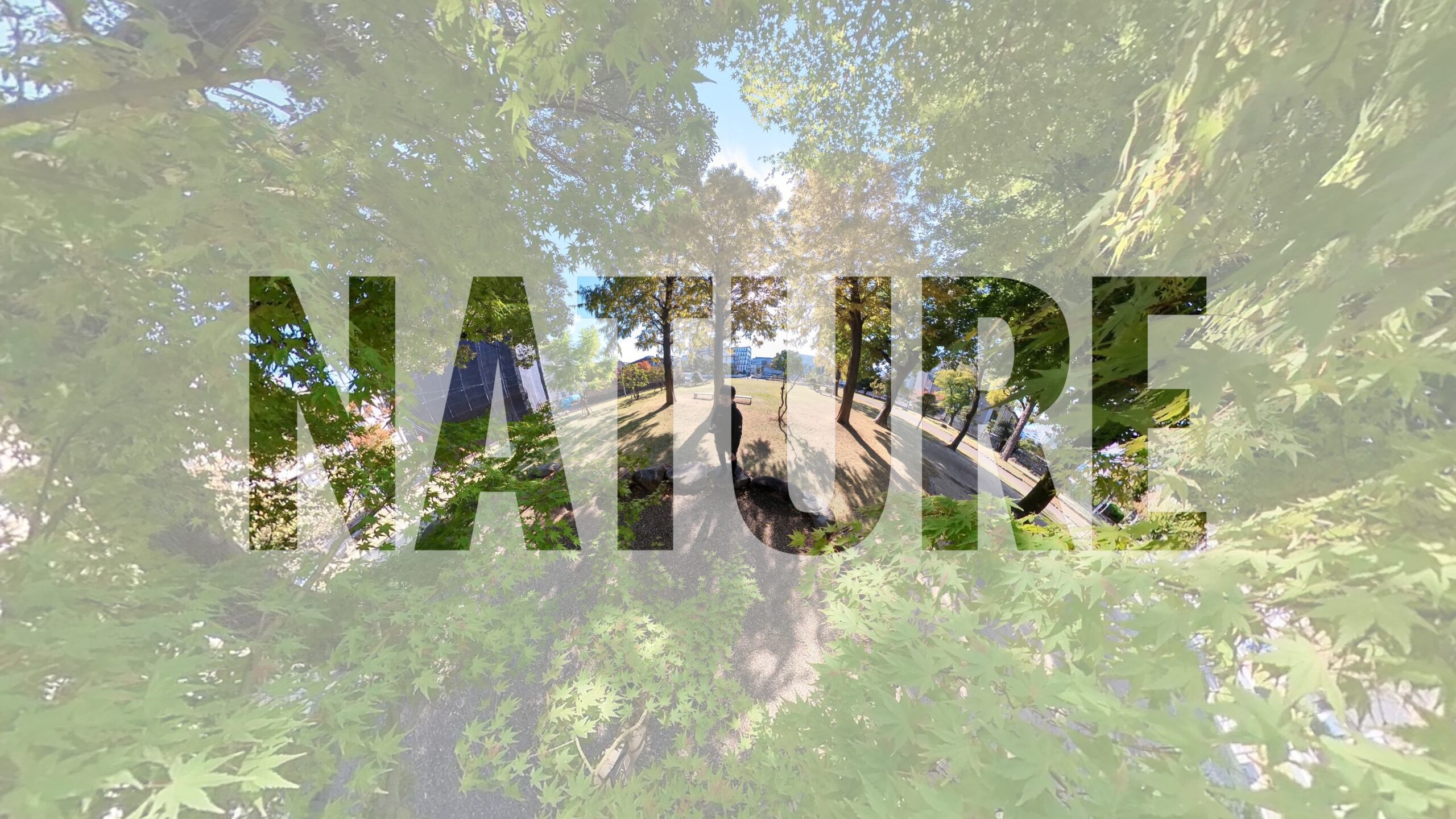 − NATURE